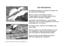 Fehlerlesen-Weißstorch-Lesetext-Sw-1.pdf